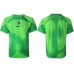Cheap France Goalkeeper Away Football Shirt World Cup 2022 Short Sleeve